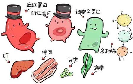 樱花草视频在线观看高清视频厂家分析元素之间的协同作用