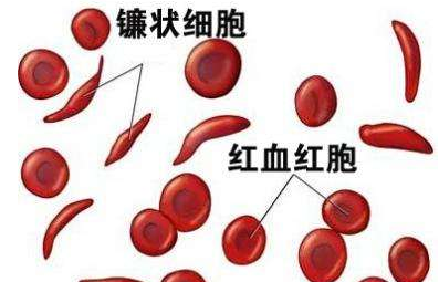 人体樱花草在线社区www韩国厂家介绍检测微量元素的仪器 人体樱花草在线社区www韩国厂家介绍检测微量元素的仪器