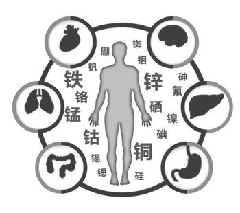医用樱花草在线社区www韩国厂家谈微量元素的重要性 医用樱花草在线社区www韩国厂家谈微量元素的重要性
