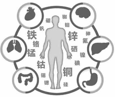医用樱花草在线社区www韩国为樱花草在线社区www日本视频的健康提供了保障 医用樱花草在线社区www韩国为樱花草在线社区www日本视频的健康提供了保障