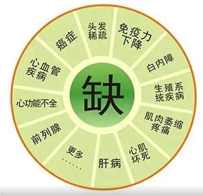 医用樱花草在线社区www韩国