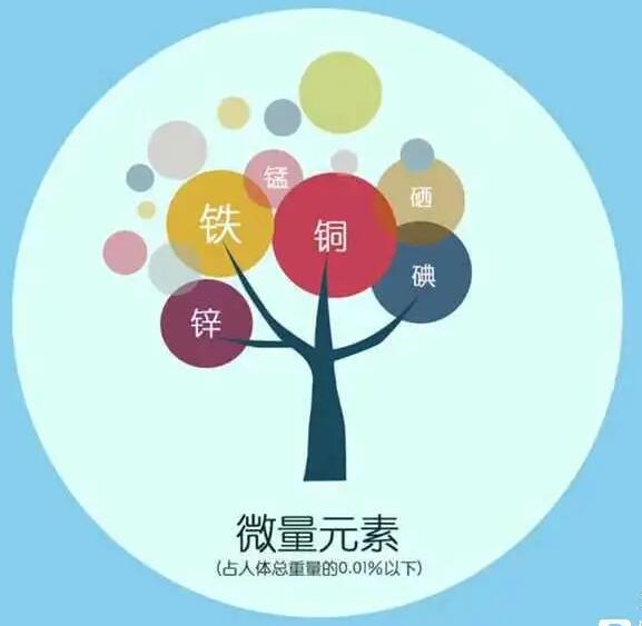 人体樱花草在线社区www韩国厂家哪家好
