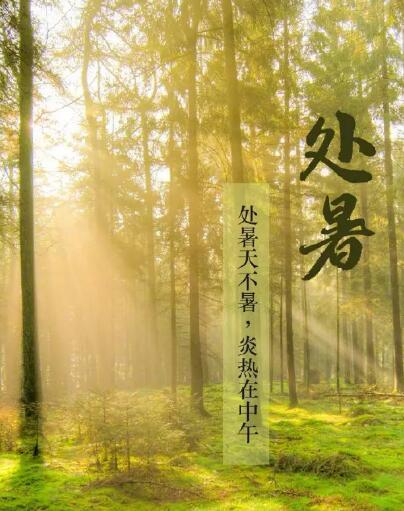 樱花草在线社区www韩国品牌樱花草在线社区www日本视频提醒处暑每天做3件事情，健脾开胃，稳定出伏