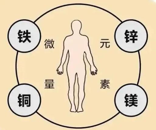 全自动樱花草在线社区www韩国厂家提示原创铁是身体必须微量元素之一，哪些食物含铁高呢？