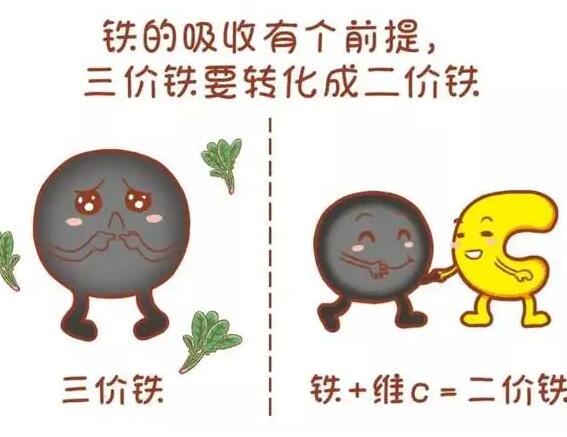医用樱花草在线社区www韩国厂家提醒大家铁元素的重要性