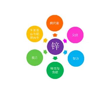 微量元素测定仪厂家提示关爱男士健康，适度补充锌元素也不能少！