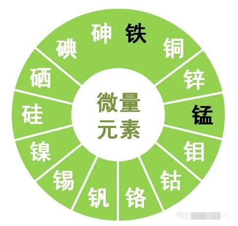 樱花草在线社区www韩国提示锌、硒、锰、钒等微量元素对男性生育有哪些作用？