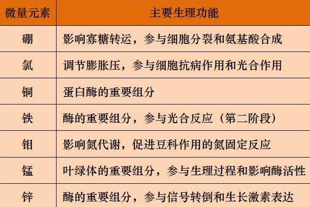 山东聊城全自动血铅检测仪一体机：微量元素的主要作用8.20